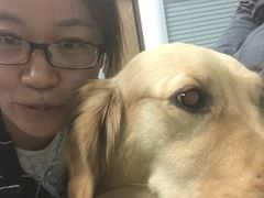 -纳吉亚猫专科动物诊疗中心(蒋宅口分院)