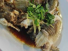 清蒸筍殼魚-旗鱼海番村(Orang Asli)