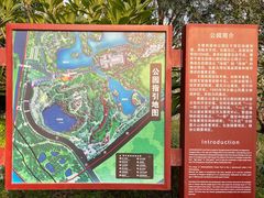 -王借岗森林公园