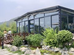 -蘇河湾·新鲁菜·泰山宴(泰山店)