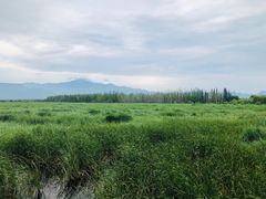 -野鸭湖国家湿地公园