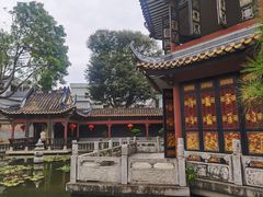 -碧江金楼