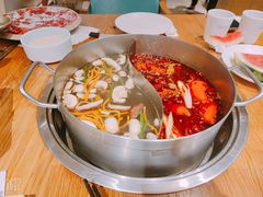 -青瓷火锅料理(西单大悦城店)