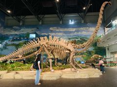 -自贡恐龙博物馆