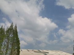 -金沙遗址博物馆