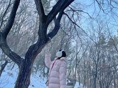 -帽儿山国家森林公园