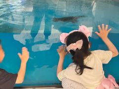 -帝企鹅自助餐厅•儿童岛•真企鹅(长隆企鹅酒店)