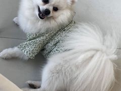 -怪兽屋·羊驼·猫咖·狗咖(俊华广场店)