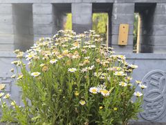 -苦尽酒馆·川菜(鼓楼店)