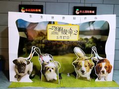 -乐达影城(枣庄市中店)