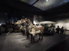 -秦始皇帝陵博物院-丽山园