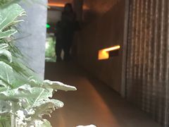 -白泽酒吧