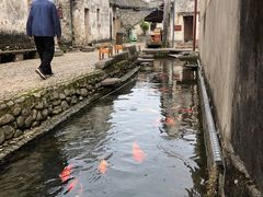 -前童古镇