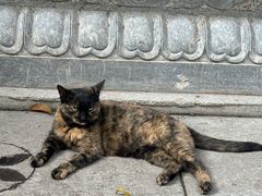 -宝通禅寺