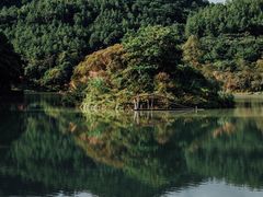 -广州白江湖森林公园