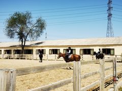 -北京群众马术培训基地