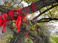 -终南山南五台景区