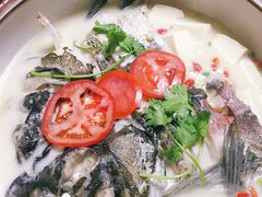 -全乐鱼馆·淳牌有机鱼直营店