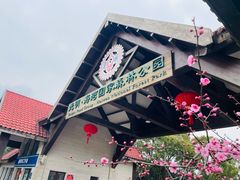 -上海海湾国家森林公园