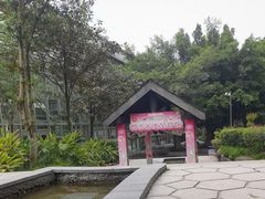 -融汇温泉