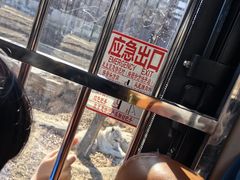 -太原动物园