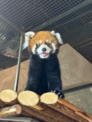 -Zoolung Zoolung动物主题公园(海信广场店)