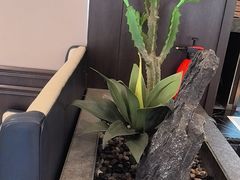 -蜀厨小匠·民间川菜(犀浦店)