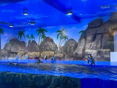 -辛玛王国游乐园