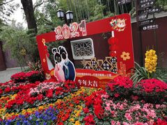 -望江楼公园
