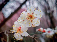 -渭河城市绿地运动公园