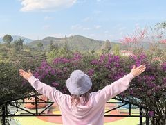 -墨江北回归线标志园