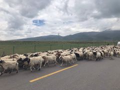 -青海湖国家重点风景名胜区