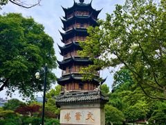 -红梅公园