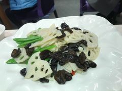 -紫光园(顺义店)