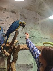 -Zoolung Zoolung动物主题公园(海信广场店)