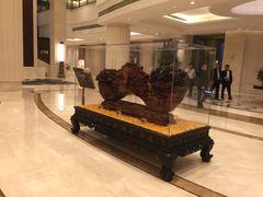 -常州武进九洲喜来登酒店