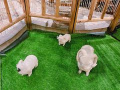 -老阿妈蒙古村·蒙古包·草原文化·歌舞表演(老君堂店)
