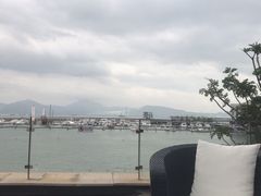 -希尔顿南海酒店·观廊大堂吧·海景下午茶