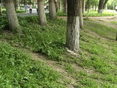 -长春公园(普阳街道)