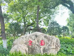 -江心屿景区