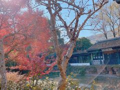 -惠山古镇·寄畅园