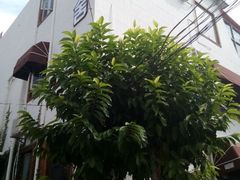 android_upload_pic-深圳大旅小舍精品艺术民宿