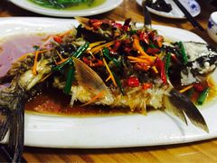 -悠悠美食