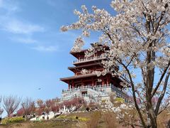 -古柏渡飞黄旅游区