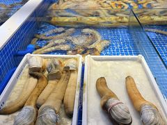 -驻海渔市(置信店)