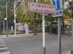 -三里屯东五街银杏大道