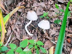 -终南山国家森林公园