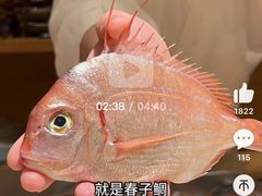 -镹·鱼料理  国产鱼使用店