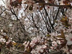 -元大都城垣遗址公园