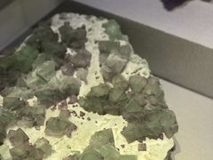 -河南自然博物馆